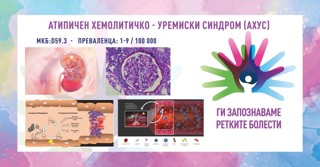 Ги запознаваме ретките болести: Атипичен Хемолитичко – Уремиски синдром