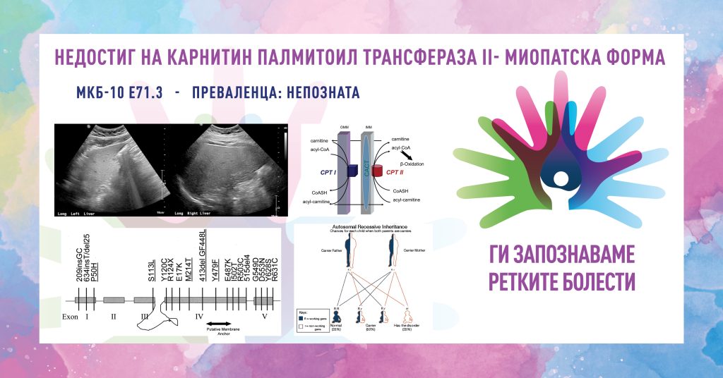 Ги запознаваме ретките болести: Недостиг на карнитин полмитоил трансфераза II